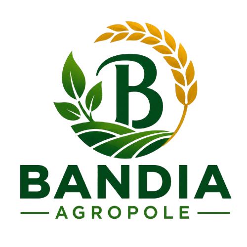 Bandia Agropole